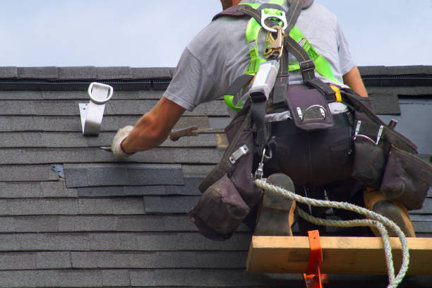 Best Roof Gutter Cleaning  in Macon, GA