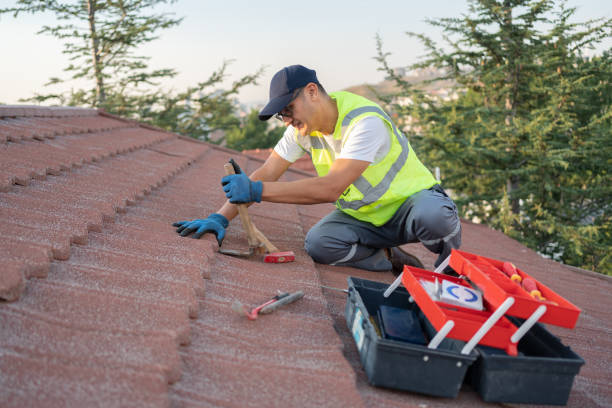 Best New Roof Installation  in Macon, GA
